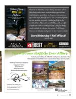 image of January 26, 2017 - number 83