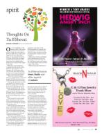 image of February 09, 2017 - number 31