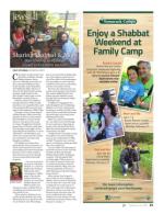 image of February 16, 2017 - number 25