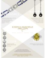 image of February 23, 2017 - number 11