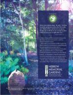 image of March 09, 2017 - number 63