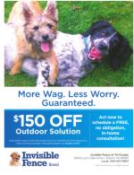 image of May 11, 2017 - number 39