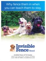 image of August 03, 2017 - number 52