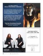 image of September 07, 2017 - number 60