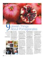 image of September 14, 2017 - number 88