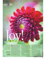 image of October 12, 2017 - number 49