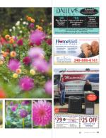 image of October 12, 2017 - number 51