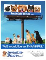 image of November 09, 2017 - number 56