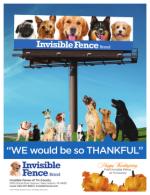 image of November 16, 2017 - number 68