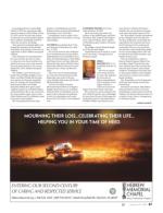 image of January 25, 2018 - number 87