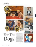 image of March 29, 2018 - number 44