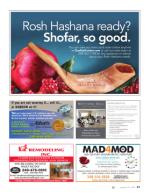 image of August 16, 2018 - number 21