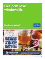 image of September 06, 2018 - number 91