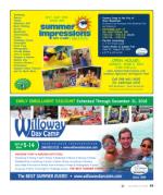 image of December 06, 2018 - number 49