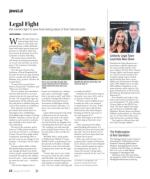 image of January 24, 2019 - number 22