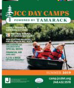 image of February 07, 2019 - number 33