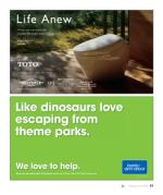 image of February 14, 2019 - number 47