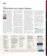 image of June 13, 2019 - number 6