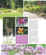 image of August 08, 2019 - number 27