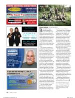 image of April 02, 2020 - number 42