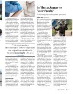 image of May 14, 2020 - number 19