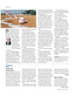 image of August 13, 2020 - number 5