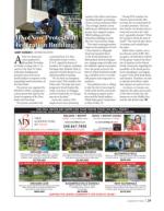 image of August 13, 2020 - number 29