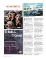 image of September 17, 2020 - number 26