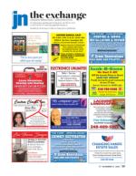 image of November 12, 2020 - number 37