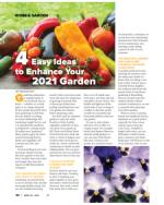 image of April 22, 2021 - number 34