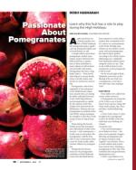 image of September 02, 2021 - number 48