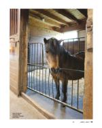 image of June 09, 2022 - number 13