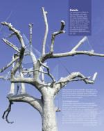 image of June 23, 2022 - number 13