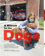 image of September 08, 2022 - number 12