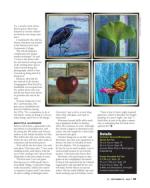 image of September 15, 2022 - number 47