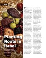 image of February 02, 2023 - number 41