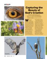 image of February 02, 2023 - number 52