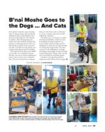 image of June 08, 2023 - number 22