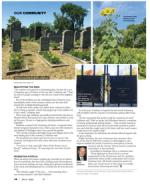 image of July 06, 2023 - number 6