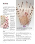 image of September 14, 2023 - number 92