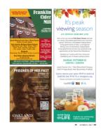 image of October 12, 2023 - number 38