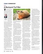 image of November 09, 2023 - number 2