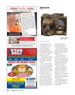 image of November 16, 2023 - number 48