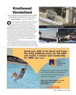 image of February 29, 2024 - number 11