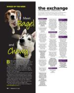 image of February 29, 2024 - number 50