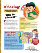 image of March 28, 2024 - number 62