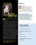 image of April 04, 2024 - number 37