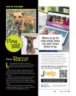 image of April 11, 2024 - number 40