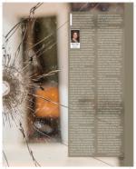 image of June 20, 2024 - number 72