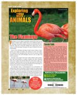 image of July 04, 2024 - number 41